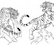 Coloriage Tigres se combattent