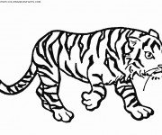 Coloriage et dessins gratuit Un Tigre qui marche à imprimer