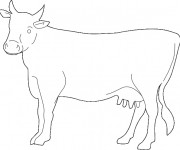 Coloriage et dessins gratuit Un portrait de Vache à imprimer