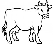 Coloriage et dessins gratuit une Vache à imprimer