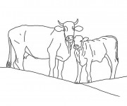 Coloriage et dessins gratuit Vache et son veau à imprimer