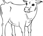 Coloriage et dessins gratuit Vache maternelle à imprimer