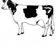 Coloriage Vache pour coloriage