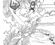 Coloriage et dessins gratuit Espace de singes au Zoo à imprimer