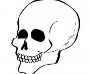 Coloriage et dessins gratuit Crâne à colorier à imprimer