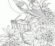 Coloriage et dessins gratuit Difficile Oiseau stylisé à imprimer