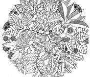 Coloriage Mandala Fleurs et Plantes