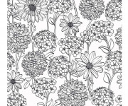 Coloriage et dessins gratuit Adulte Fleurs de Jardin à imprimer