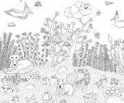 Coloriage et dessins gratuit La vie dans la Forêt à imprimer