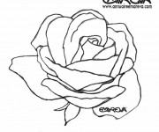 Coloriage Rose aimable