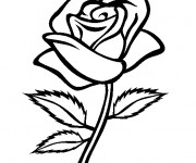 Coloriage Rose Fleur