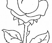 Coloriage Rose maternelle
