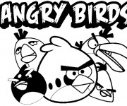 Coloriage Angry Birds Affiche