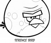 Coloriage Angry Terence  Birds