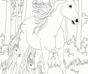 Coloriage Bella Sara: Les chevaux