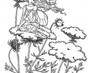 Coloriage et dessins gratuit Elfe Papillon à imprimer