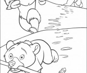 Coloriage et dessins gratuit Personnage de Frère des ours à imprimer