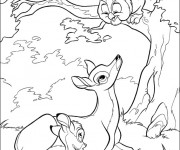 Coloriage Monsieur Hibou, Bambi et sa mère
