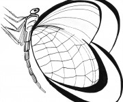 Coloriage St-Valentin Papillon stylisé