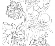 Coloriage et dessins gratuit Adulte Fleur et Papillon à imprimer
