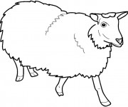 Coloriage et dessins gratuit Mouton de Ferme vecteur à imprimer