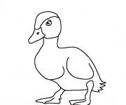 Coloriage et dessins gratuit Un Canard simple à imprimer