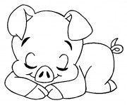 Coloriage et dessins gratuit Cochon dormant à imprimer