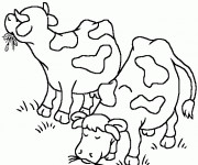 Coloriage et dessins gratuit Les Vaches en mangeant à imprimer