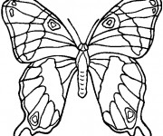 Coloriage et dessins gratuit Papillon En Ligne à imprimer