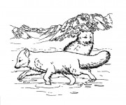 Coloriage et dessins gratuit Les Loupe dans La Montagne à imprimer