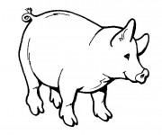 Coloriage et dessins gratuit Cochon maternelle à imprimer