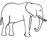 Coloriage Éléphant d'afrique facile