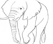 Coloriage et dessins gratuit Éléphant en noir et blanc à imprimer