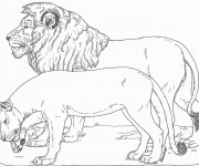Coloriage Lion et Lionne stylisé