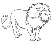Coloriage et dessins gratuit Lion Roi de La forêt à imprimer