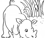 Coloriage et dessins gratuit Petit Hippopotame dans la nature à imprimer