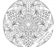 Coloriage et dessins gratuit Fleurs Mandala  adulte à imprimer