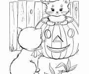 Coloriage chaton dans citrouille d'halloween