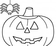 Coloriage Citrouille d'Halloween et Araignée