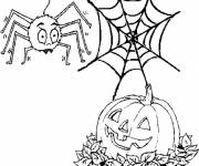 Coloriage citrouille et araignée d'Halloween
