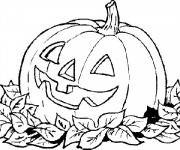 Coloriage et dessins gratuit Une Citrouille décoré pour Halloween à imprimer