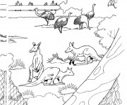 Coloriage et dessins gratuit Animaux de Zoo à colorier à imprimer