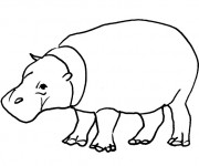 Coloriage et dessins gratuit hippopotame d'Afrique à imprimer