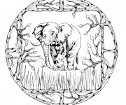 Coloriage Mandala Éléphant d'Afrique