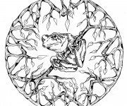 Coloriage Mandala Grenouille vectoriel
