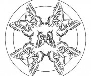 Coloriage et dessins gratuit Mandala Papillon Facile à imprimer