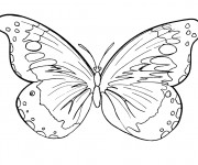 Coloriage Papillon Difficile stylisé