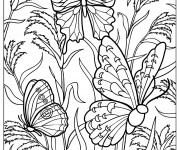 Coloriage et dessins gratuit Papillon Nature Difficile à imprimer