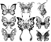 Coloriage Papillons Artistique Adulte