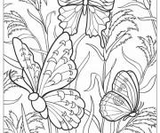 Coloriage et dessins gratuit Papillons multicolores à imprimer